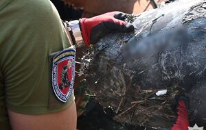 За попередньою інформацією, ворог ударив крилатою ракетою Х-59