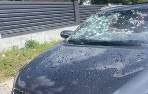 Водитель успел покинуть автомобиль, "попутчик" погиб на месте