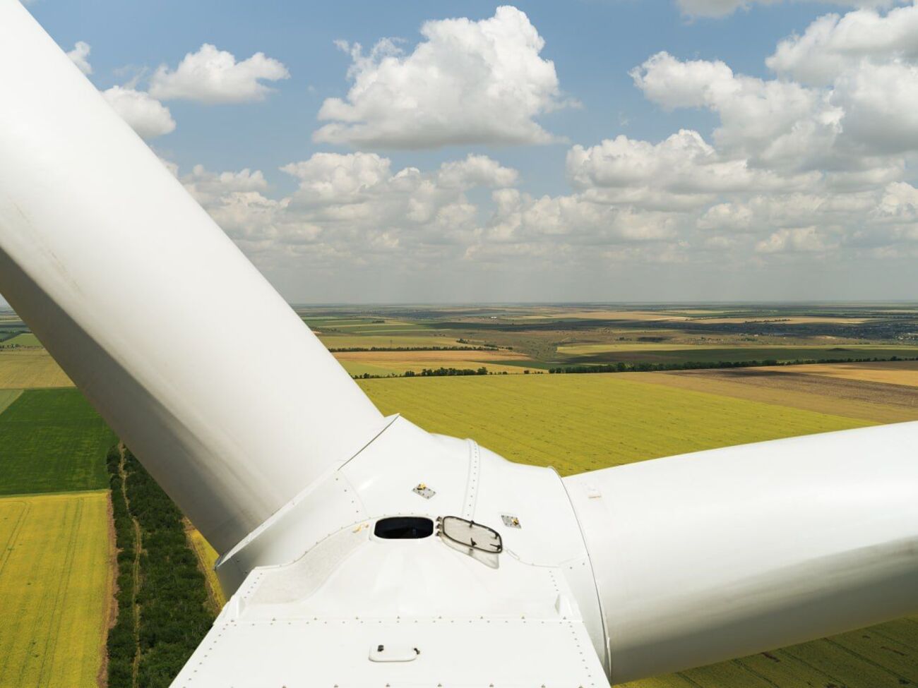 Для будівництва станції проводять, зокрема, орнітологічні дослідження