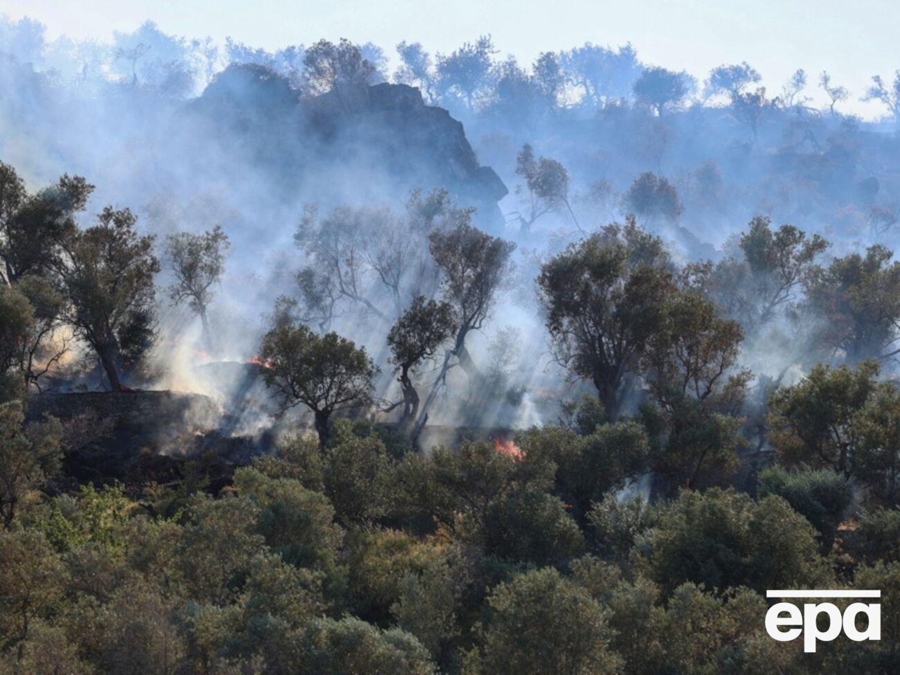 В Греции на одном из островов возник пожар