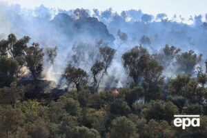 У Греції на одному з островів виникла пожежа
