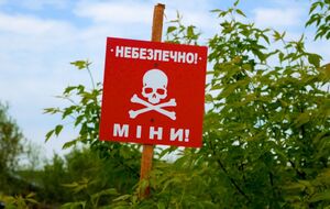 Водій загинув одразу, а його дружина – дорогою до лікарні