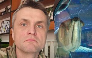 Під лозунг "вірю в ЗСУ" негідники, котрі не були покарані у 2014-му і 2022 році, узяли реванш і продовжують ЗСУ знищувати