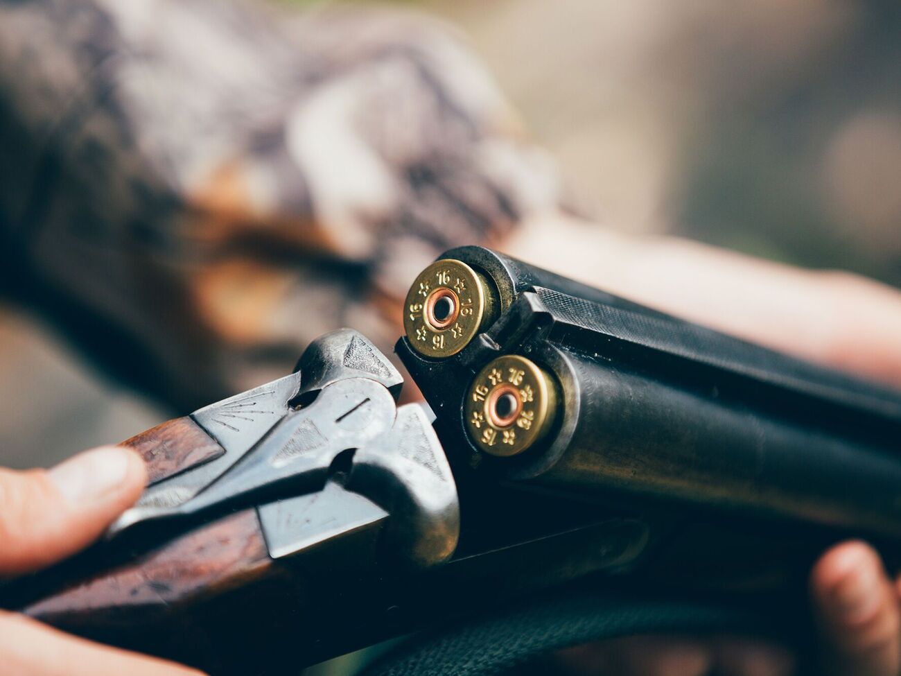 Самыми популярными видами оружия на руках у граждан является охотничье, гладкоствольное и травматическое оружие