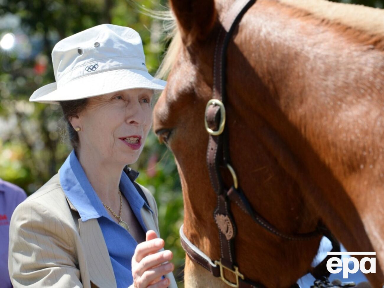 Принцесса Анна госпитализирована с сотрясением мозга после инцидента в ее загородном доме