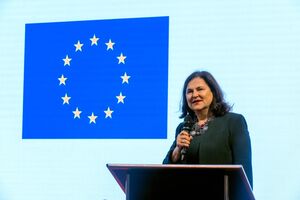 Матернова о вступлении Украины в ЕС: 2030 год – это очень реалистичная дата