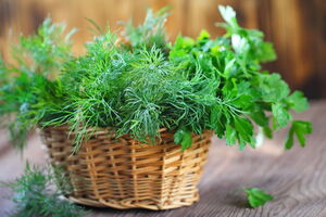 Зелень нужно сперва помыть, а затем высушить