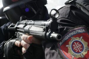 Жандарм вистрілив кілька разів, наголосив міністр