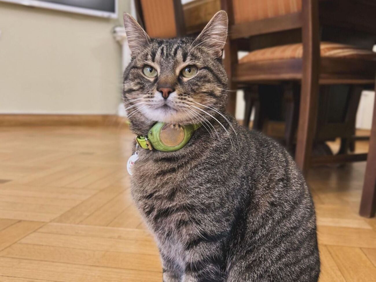 Левчик поселился во Львовской мэрии осенью 2020 года