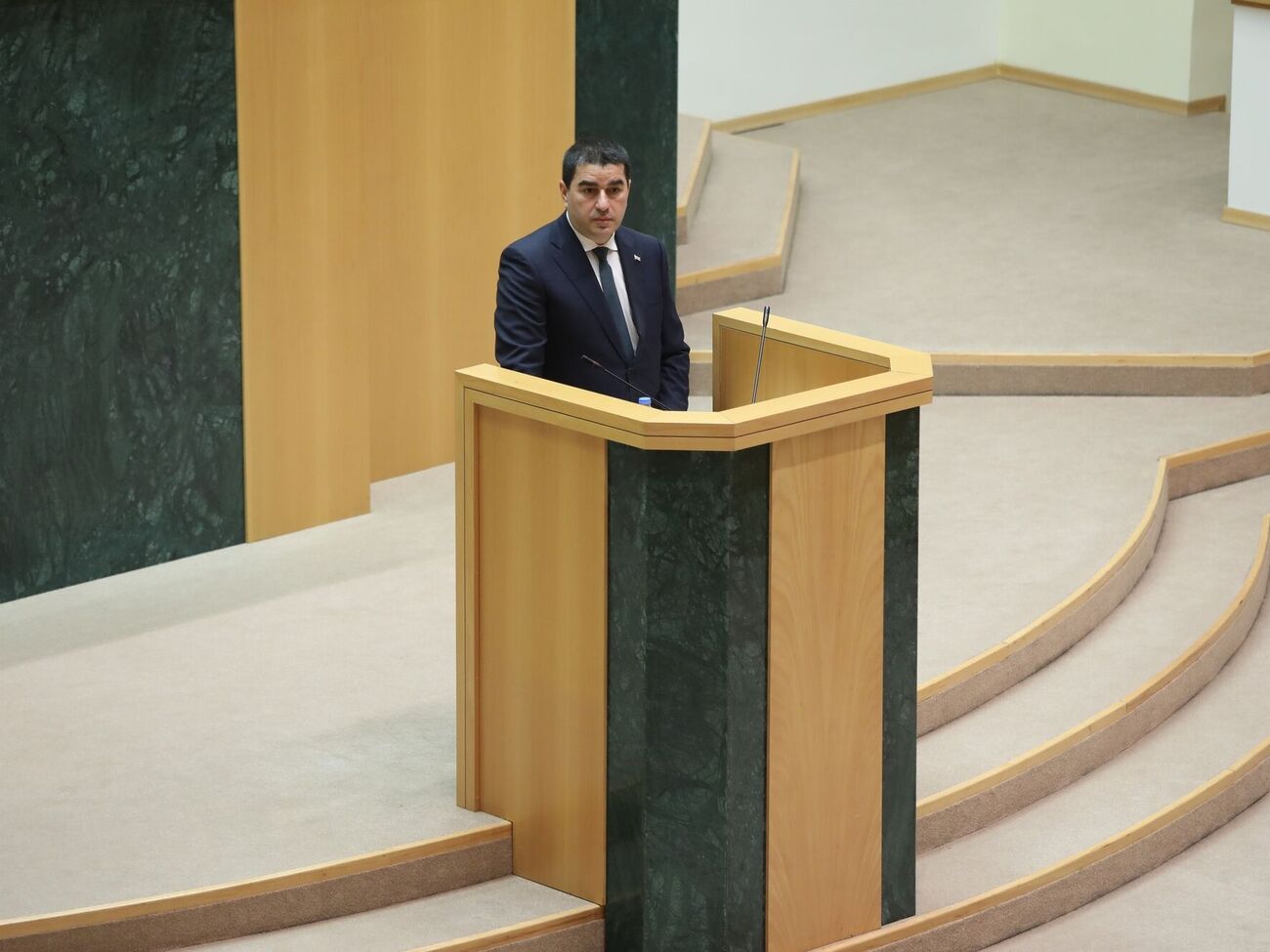 Папуашвілі затвердив закон, який ветувала президентка