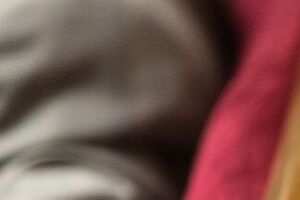 Верховна Рада ухвалила законопроєкт про використання англійської мови в Україні