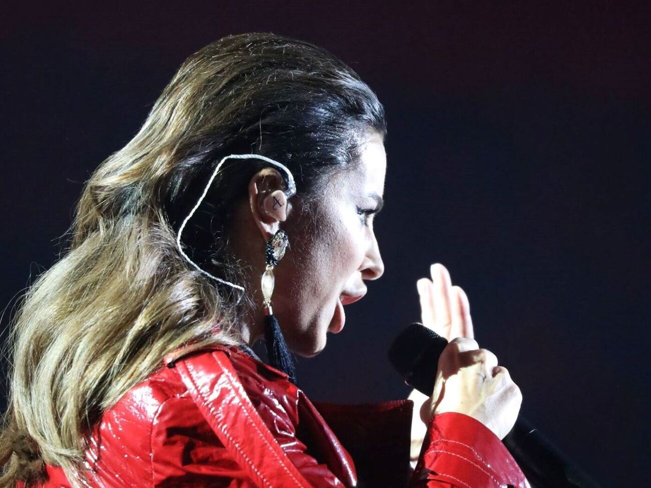 Ани Лорак с 2014 года живет и выступает в РФ