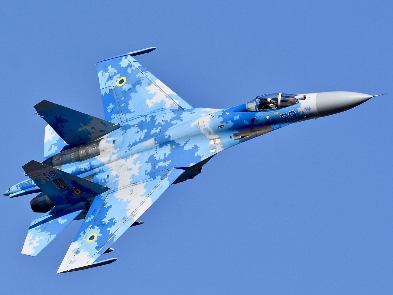 Украинская авиация использует оружие, предоставленное Западом, отметил Голубцов