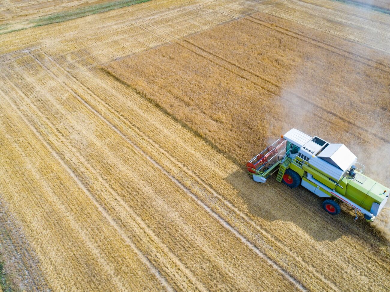 Производители агропродукции в прошлом сезоне работали в убыток почти со всеми сельскохозяйственными культурами, сообщили в Украинской зерновой ассоциации