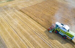 Производители агропродукции в прошлом сезоне работали в убыток почти со всеми сельскохозяйственными культурами, сообщили в Украинской зерновой ассоциации