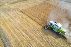 Виробники агропродукції минулого сезону працювали у збиток майже з усіма сільськогосподарськими культурами, повідомили в Українській зерновій асоціації