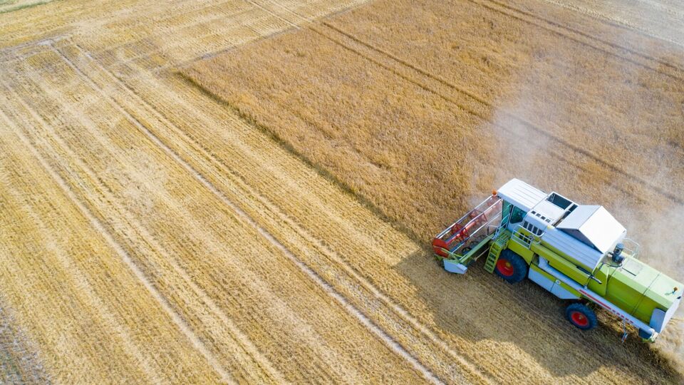 Производители агропродукции в прошлом сезоне работали в убыток почти со всеми сельскохозяйственными культурами, сообщили в Украинской зерновой ассоциации