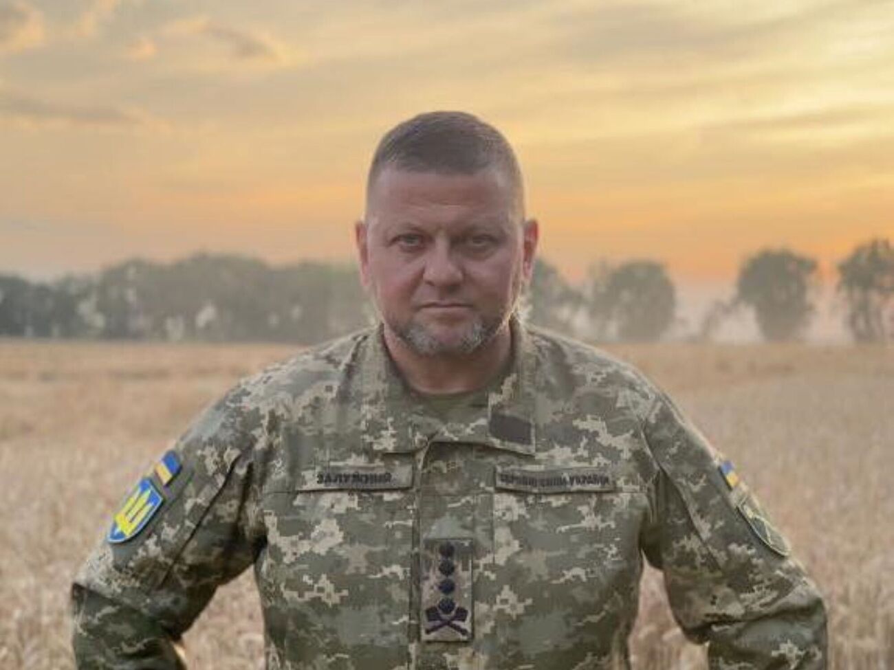 Автор книги отметила, что согласовала идею с Залужным