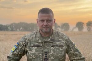 Авторка книжки зазначила, що погодила ідею із Залужним