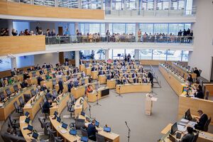 За проголосовали 99 депутатов Сейма