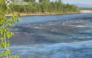 Пограничники обнаружили в реке Тиса на границе с Румынией тело мужчины