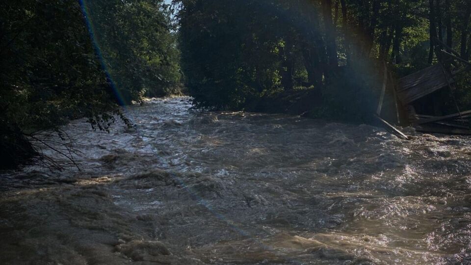 Дев'ятирічна дівчинка потонула, 30-річну матір і трирічного сина врятували місцеві жителі