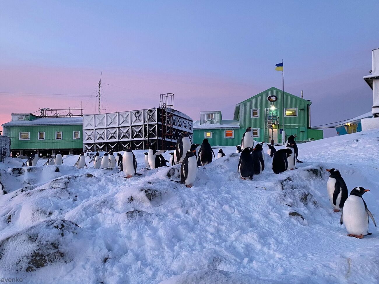 Сейчас на антарктической станции Украины находятся 14 полярников, отметили в НАНЦ