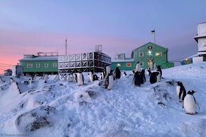 Зараз на антарктичній станції України перебуває 14 полярників, зазначили в НАНЦ