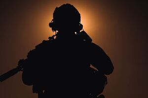 СБУ работала вместе с ВМС, пишет СМИ