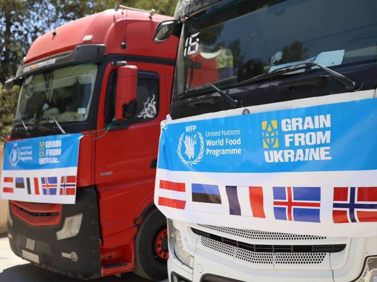 Палестина отримала першу партію допомоги за програмою Grain from Ukraine