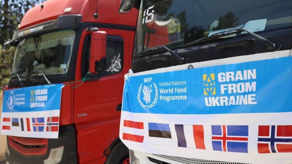 Палестина получила первую партию помощи по программе Grain from Ukraine