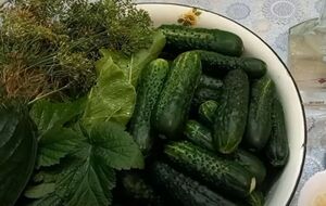 Банки с квашеными огурцами нужно хранить в холодном месте