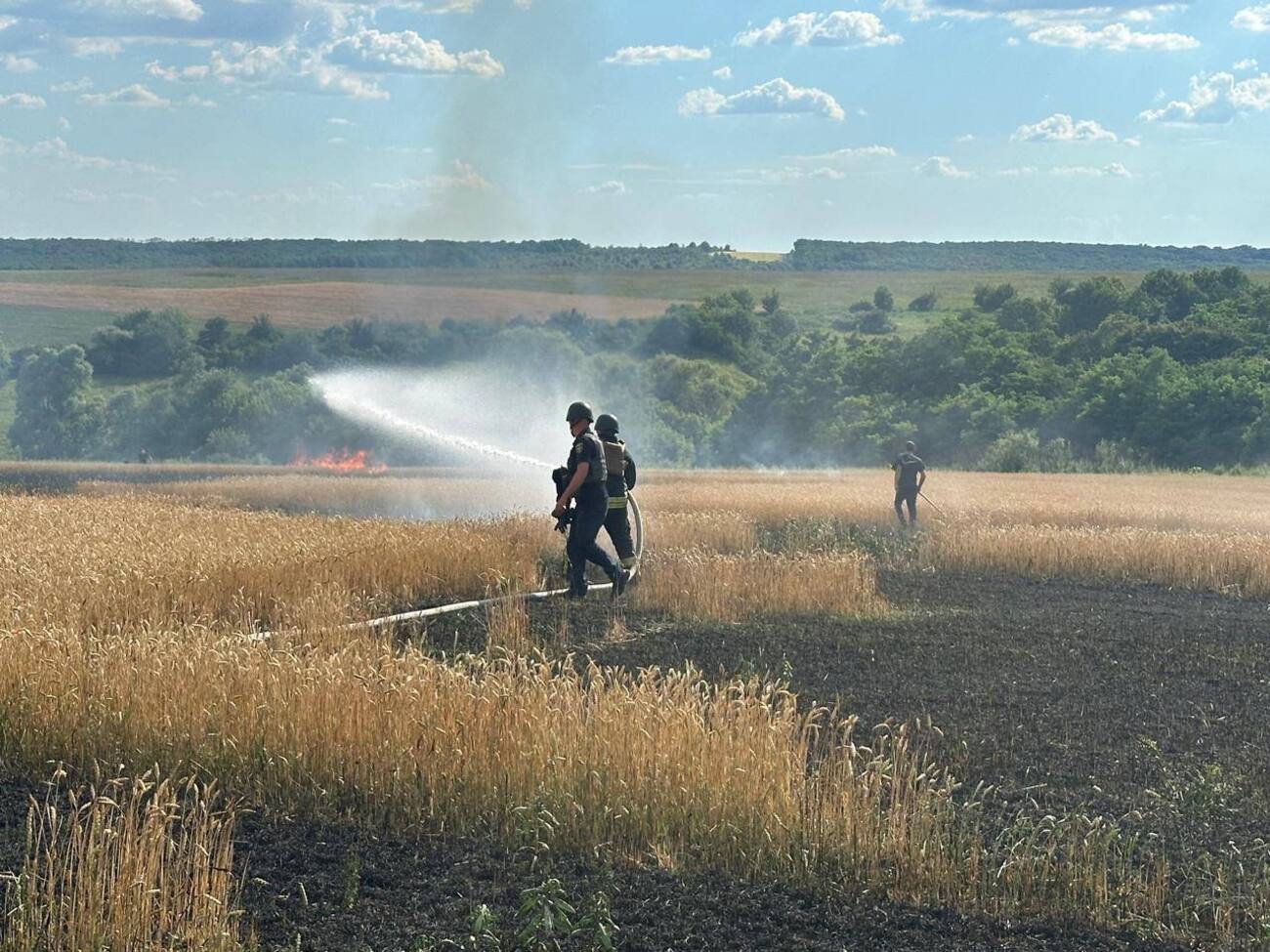 В Харьковской области огонь оккупантов уничтожил часть урожая пшеницы