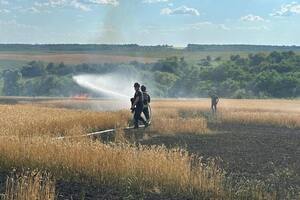 В Харьковской области огонь оккупантов уничтожил часть урожая пшеницы