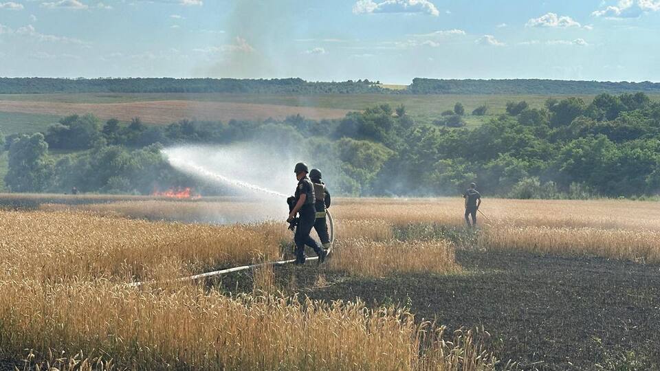 У Харківській області вогонь окупантів знищив частину врожаю пшениці