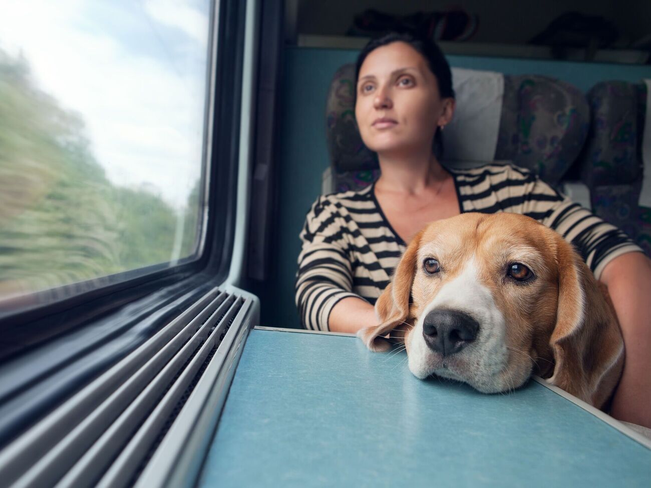 Изменения вступят в силу после утверждения Государственной регуляторной службой Украины