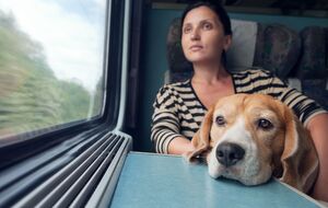 Изменения вступят в силу после утверждения Государственной регуляторной службой Украины