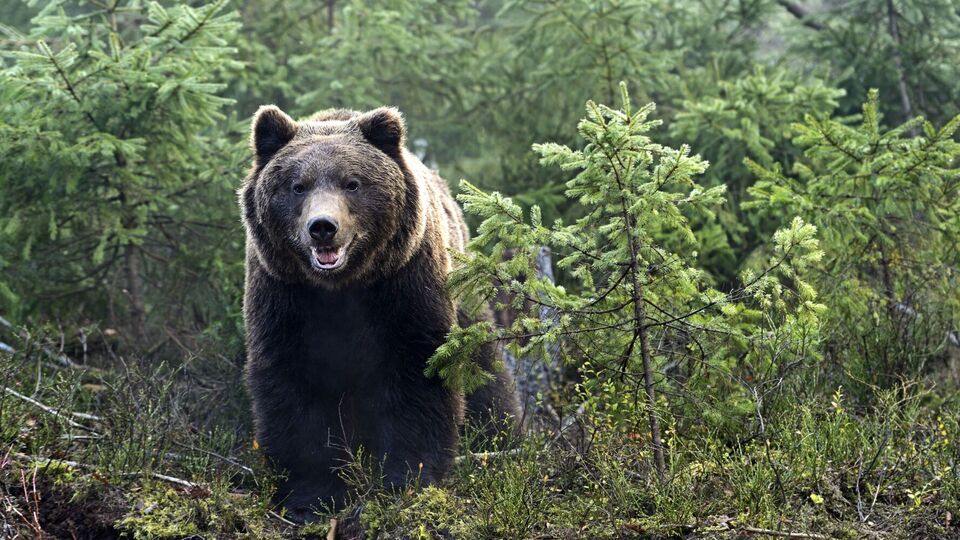У ДПСУ попередили про небезпеку