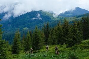 Минулої доби прикордонники відділу "Ділове" затримали в горах майже 20 чоловіків призовного віку, зазначили 21 липня в ДПСУ