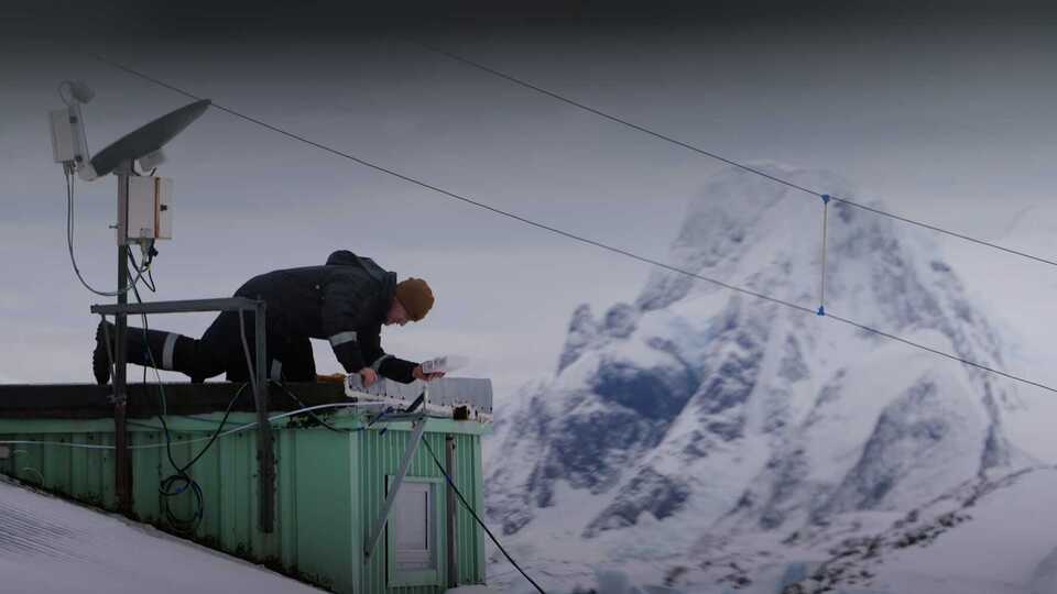 Десятки людей пришли проститься с Ириной Фарион