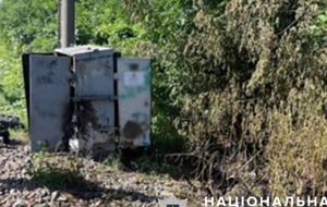 Фигурант, вероятно, сначала согласовывал с куратором "цель на поджог", после чего выполнял "задания" и фотографировал результат для отчета