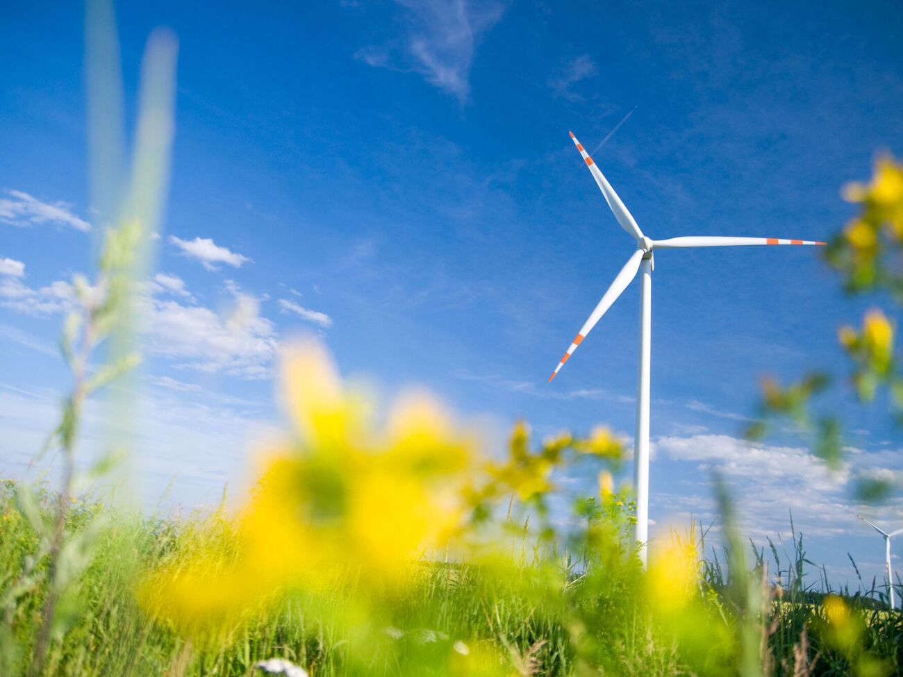 Герус повідомив, що цього року планують запуск перших "зелених" аукціонів для залучення інвестицій у сектор поновної енергетики