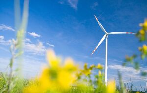 Герус сообщил, что в этом году планируется запуск первых "зеленых" аукционов для привлечения инвестиций в сектор возобновляемой энергетики