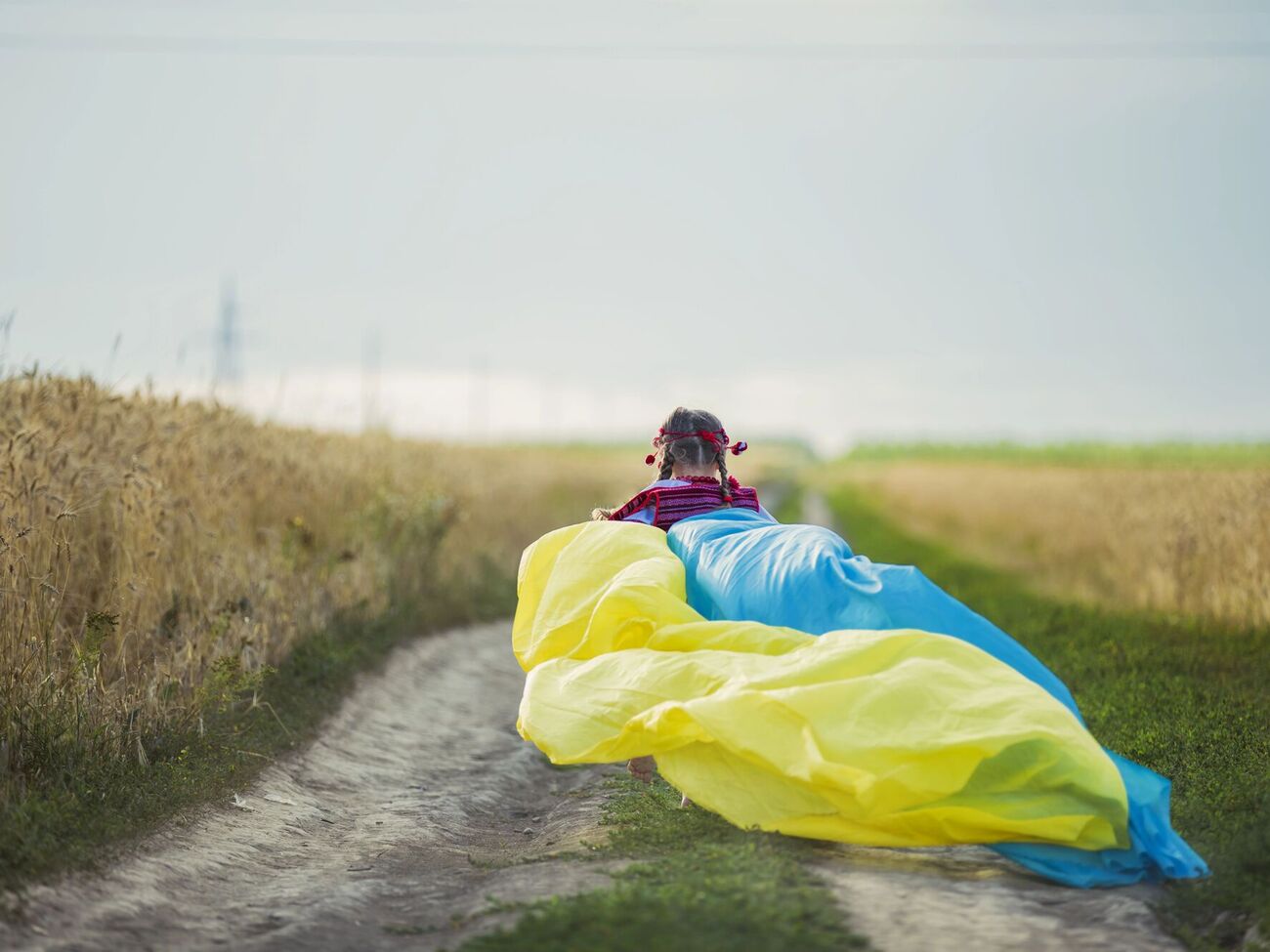 55% опитаних українців не готові до територіальних поступок заради миру