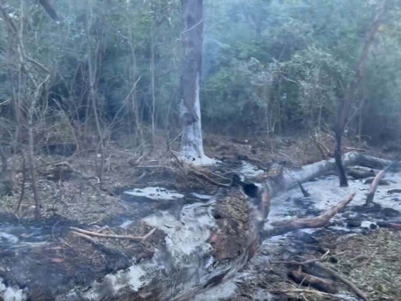 За словами Чолаку, Румунія не має дозволу збивати російські дрони над територією України