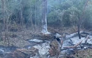 За словами Чолаку, Румунія не має дозволу збивати російські дрони над територією України