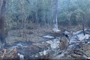 За словами Чолаку, Румунія не має дозволу збивати російські дрони над територією України