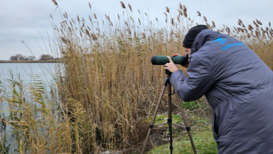 При необходимости эксперты предоставят рекомендации по мерам смягчения возможного влияния на состояние фауны, отметили в ДТЭК