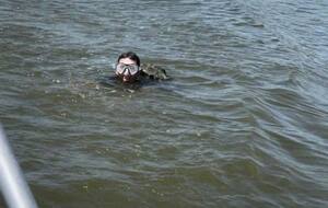 Плавець прямував до Румунії