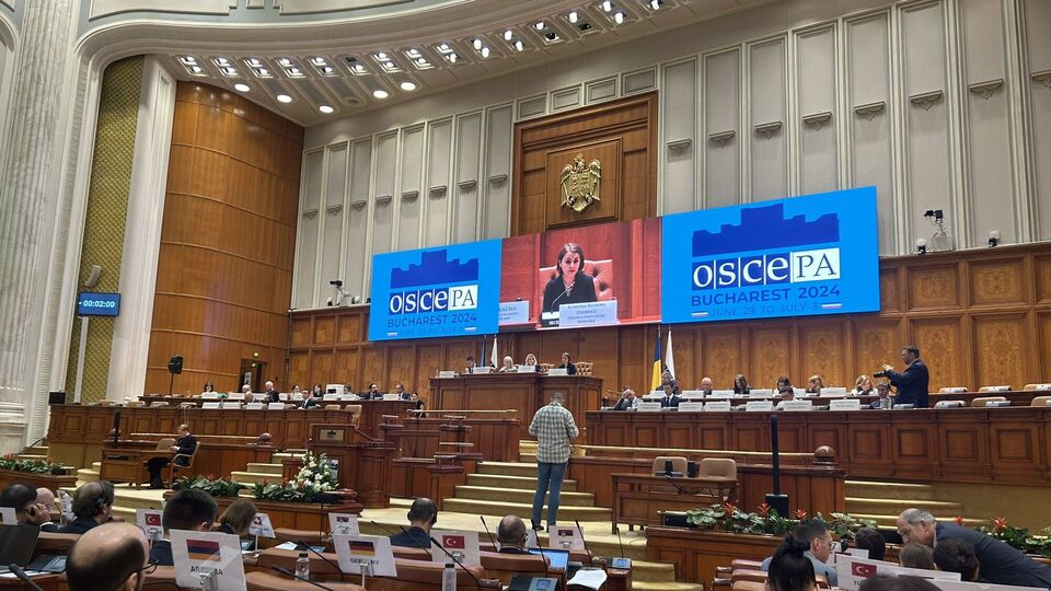 Румыния не дала визы российской делегации на сессию ПА, которая проходит в Бухаресте